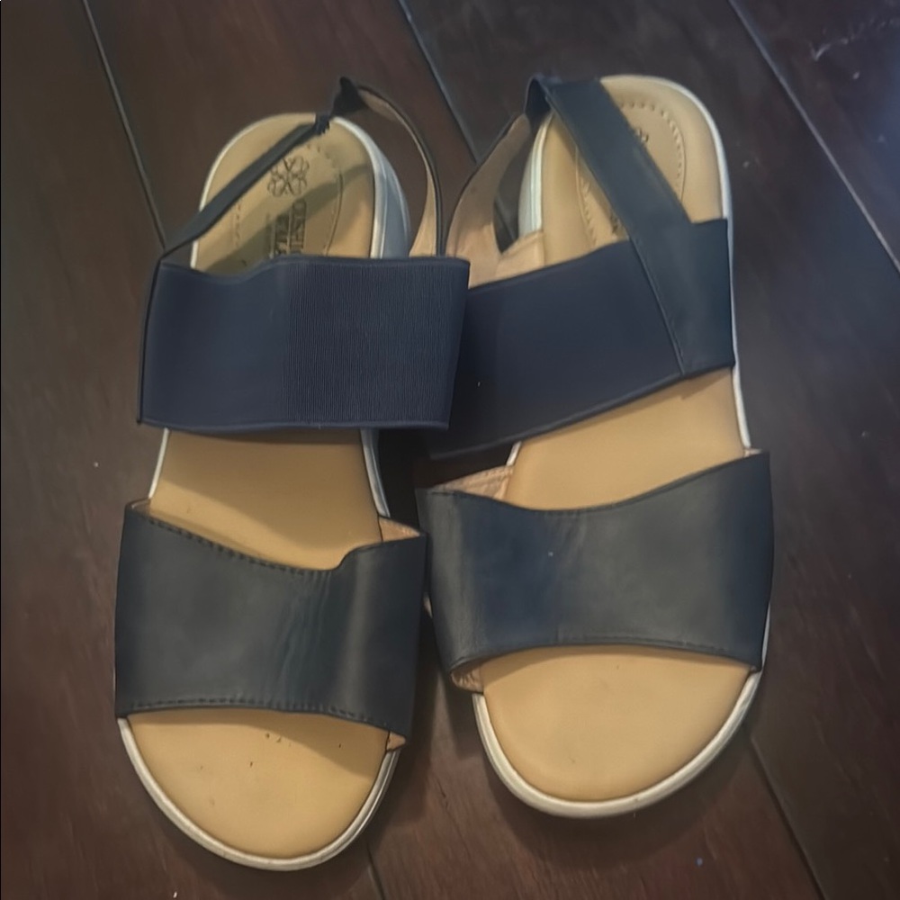 Avon Navy Blue Women's Sandals
